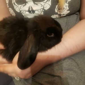 Meet your Posher, Becky